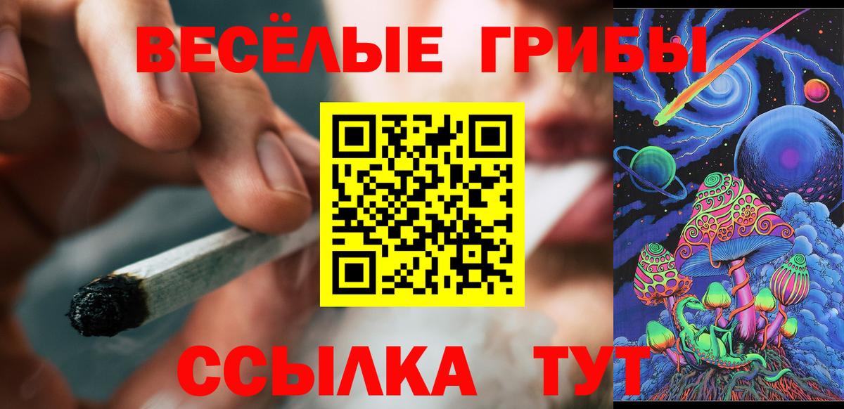 Серпухов  Псилоцибиновые грибы мицелий  Вход с VPN 